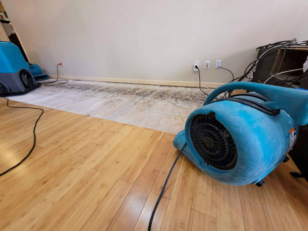 Professional Basement Flood Cleanup technician working in Troy, TN